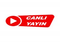 Süleyman Kurt